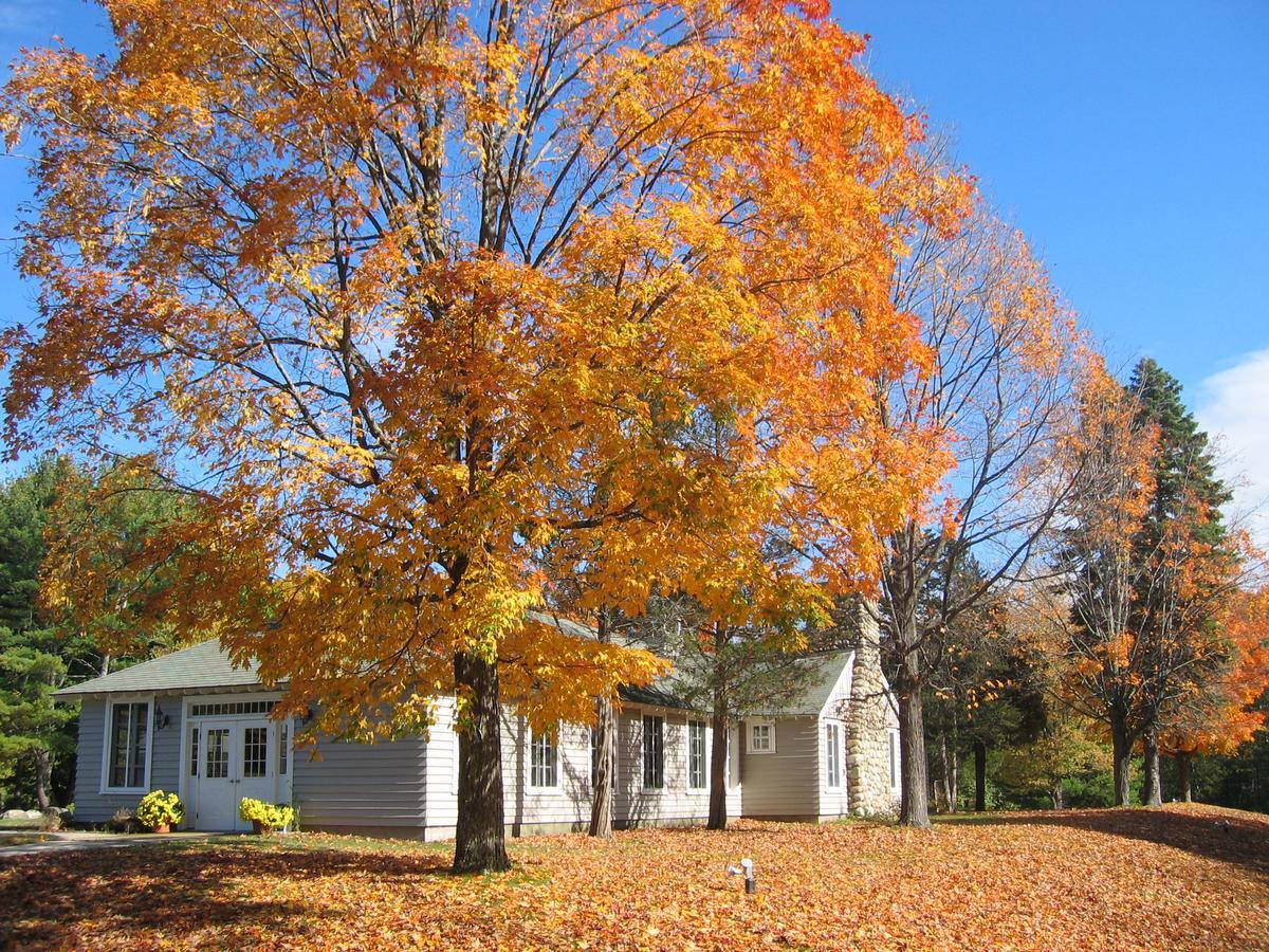 Tuxbury Pond Camping Resort Tiny House Clara South Hampton Buitenkant foto